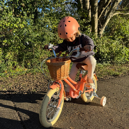 Glerc 12 Inch Kids Bike For 2 - 4 Years Old - Little Molly